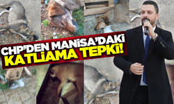 CHP Manisa'daki köpek katliamına tepki gösterdi