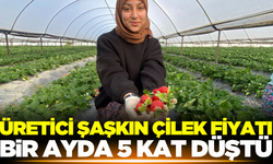 Çilek fiyatı bir ayda dip yaptı