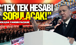 Cumhurbaşkanı Erdoğan, Bolu'daki yangınla ilgili açıklama yaptı!