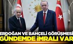 Cumhurbaşkanı Erdoğan ile MHP lideri Bahçeli bir araya gelecek