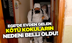 Ege'de evden gelen kötü kokuların nedeni belli oldu!