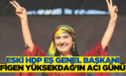 Eski HDP Eş Genel Başkanı Figen Yüksekdağ'ın acı günü