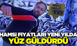 Hamsi fiyatları yeni yılda yarı yarıya düştü