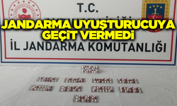 Aydın'da jandarma zehir tacirlerine geçit vermiyor