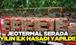 Kula jeotermal serada 2025 yılının ilk hasadı coşkulu törenle gerçekleştirildi