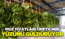 Üreticiler, tüccara 35 TL'ye sattıkları muzun fiyatından oldukça memnun