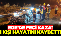 Otomobil ile kamyonun çarpıştığı kazada 1 kişi hayatını kaybetti