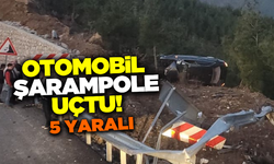 Şarampole yuvarlanan otomobilde 5 kişi yaralandı