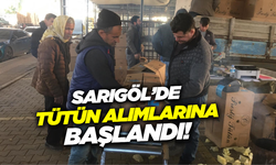 Sarıgöl'de tütün fiyatları 180 TL'ye yükseldi!