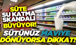 Sütteki hileyi anlamanın yolları: Doğal süt nasıl anlaşılır?