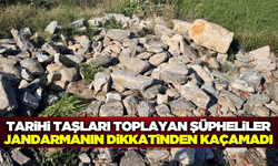 Aydın'da tarihi eser taşları toplayan şüpheliler jandarmaya yakalandı