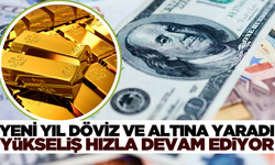 Yeni yılda dolar, euro ve gram altın yükselişi hızlandı