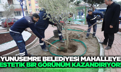 Yunusemre Belediyesi, peyzaj ve park çalışmalarını sürdürüyor