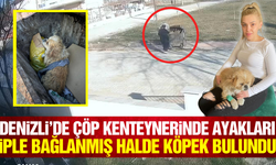 Denizli'de çöp konteyneri içerisinde ayakları iple bağlanmış köpek bulundu