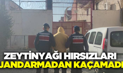 100 litre zeytinyağını çalan 1 kişi jandarma ekiplerince kıskıvrak yakalandı!