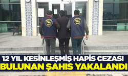 Kütahya'da hapis cezası bulunan şahıs jandarmadan kaçamadı!