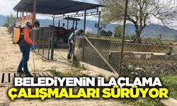 Aydın'da Belediyenin sivrisinek ve yabani ot mücadelesi sürüyor