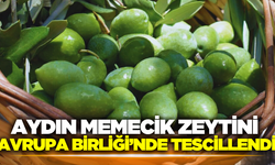 Aydın Memecik Zeytini, Avrupa Birliği‘nde tescil edilen 31. ürün oldu!