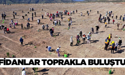 Aydın'da 2 bin 800 fidan toprakla buluştu.