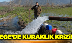 Aydın'da çiftçiler kuraklıkla mücadele ediyor