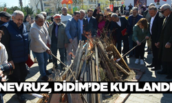Baharın gelişini müjdeleyen 21 Mart Nevruz Bayramı kutlandı!