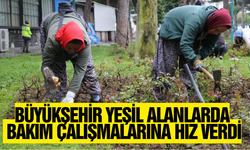 Büyükşehir yeşil alanlarda bakım çalışmalarına hız verdi
