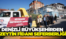 Denizli'de 46 bin zeytin fidanı dağıtıldı!