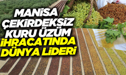 Manisa, çekirdeksiz kuru üzüm ihracatında dünyada lider konumda