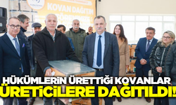 Manisa'da 150 üreticiye 300 kovan dağıtıldı!