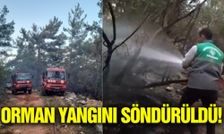Orman yangını ekiplerin müdahalesiyle kontrol altına alındı!