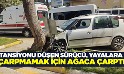 Aydın'da otomobil ağaca çarptı!