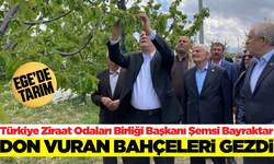 Başkan Bayraktar: ''Don olayı maalesef ürünlerimizi ve üreticimizi perişan etti''