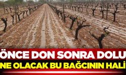 Çiftçinin hayali yine başka bahara kaldı