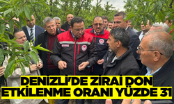 Tarım ve Orman Bakan Yardımcısı Gizligider Denizli'de Zirai Dondan Etkilenen Üreticilerle Destek Olacaklarını Söyledi