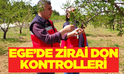 Ege'de Zirai Don Tehlikesine Karşı Arazilerde Denetimler Başladı