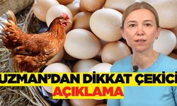 Organik mi Doğal mı Tavuk ve Yumurta! İşte Asıl Gerçekler