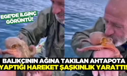 Aydın'da ilginç görüntü: Balıkçının çektiği video sosyal medyada gündem oldu!