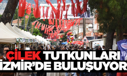İzmir'de Emiralem Çilek Festivali Heyecanı Başlıyor