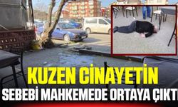 Kuzen cinayetinin sebebi ortaya çıktı