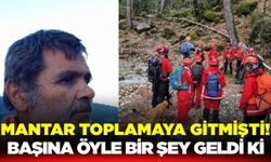 Denizli'de mantar aramaya giden adam kayboldu