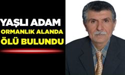 Yaşlı adamın ormanlık alanda cesedi bulundu