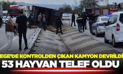 Ege'de kamyon devrildi: Hayvanlar telef oldu