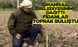 Manisa'da 21 bin Fidan Toprak Buluştu