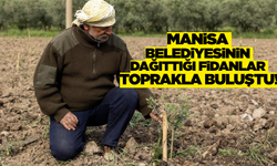 Manisa'da binlerce fidan toprakla buluştu!