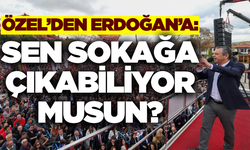 Özel'den Erdoğan'a, sen sokağa çıkabiliyor musun?
