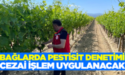 Sarıgöl'de bağlarda denetimler hız kesmiyor