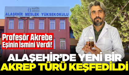 Alaşehir'de yeni bir akrep türü keşfedildi