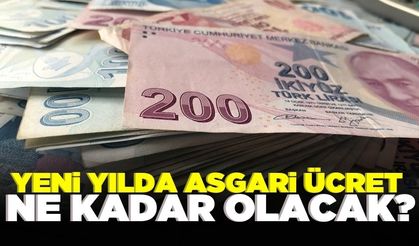 Asgari ücrete yüzde kaç zam gelecek?