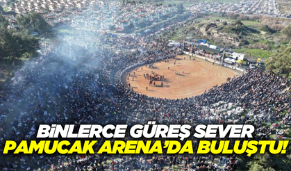 Selçuk'ta düzenlenen Deve Güreşleri Festivali coşkuyla geçti