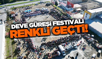 Söke'de 10. Geleneksel Deve Güreşi Festivali coşkulu geçti!